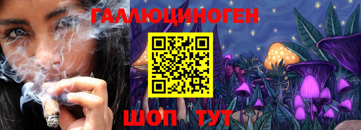 Псилоцибиновые грибы GOLDEN TEACHER Краснодар