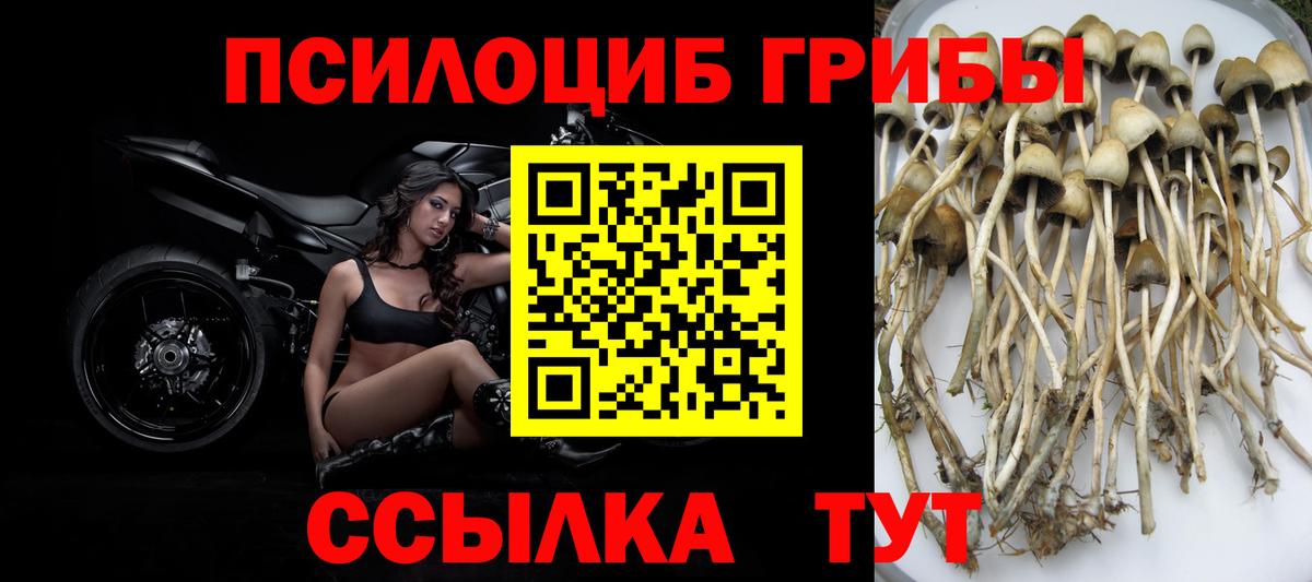 Псилоцибиновые грибы прущие грибы  Вход с VPN  где купить   Краснодар 