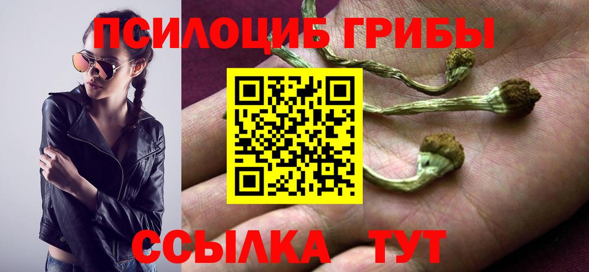 A PVP Краснодар